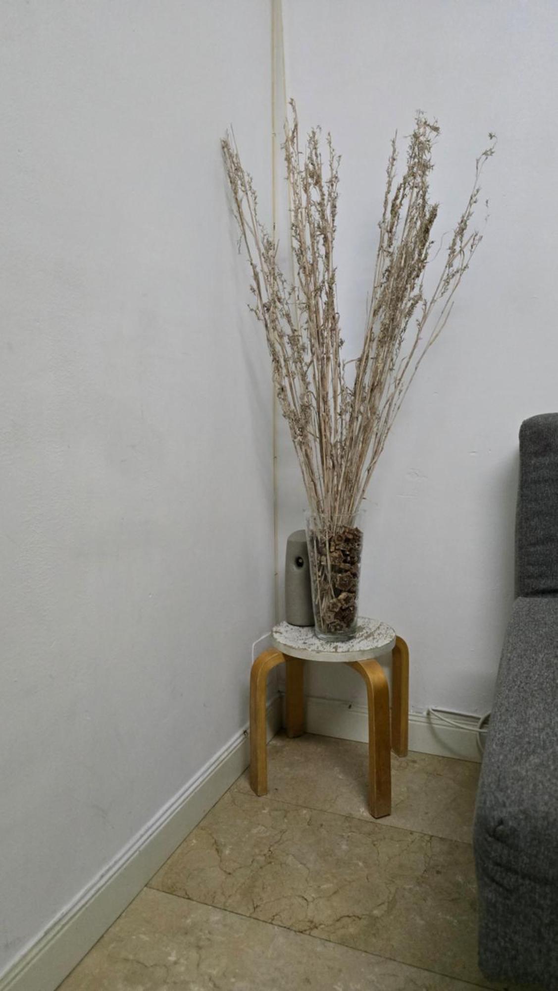 Mini Apartamento Lovely Chueca مدريد المظهر الخارجي الصورة